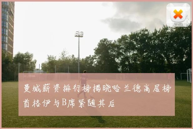 曼城薪资排行榜揭晓哈兰德高居榜首格伊与B席紧随其后