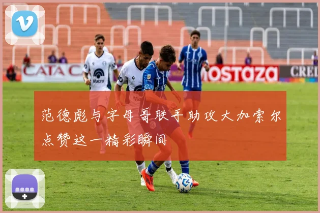范德彪与字母哥联手助攻大加索尔点赞这一精彩瞬间